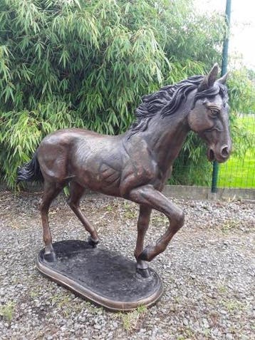 Mooi paard in brons, Nieuw
