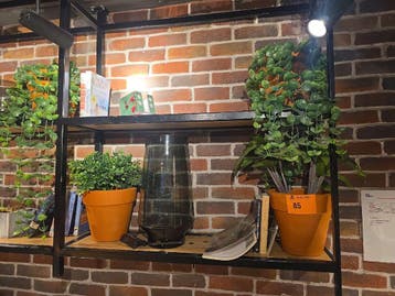 Partij diverse decoratie en PVC planten, Nieuw in verpakking