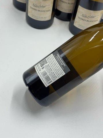 2025 Pascal Jolivet Terres Blanches - Pouilly Fumé - 6