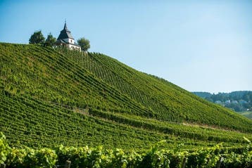 2007 Grans-Fassian, Leiwener Laurentius Lay, Riesling - S -