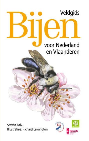 Bijen - Veldgids Voor Nederland En Vlaanderen | Nieuw, Boeken, Verzenden, Nieuw, Richard Lewington; Steven Falk