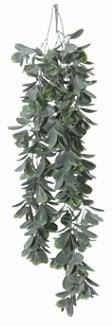 Schefflera hangplant header, Huis en Inrichting, Woonaccessoires | Kunstplanten en Kunstbloemen, Nieuw