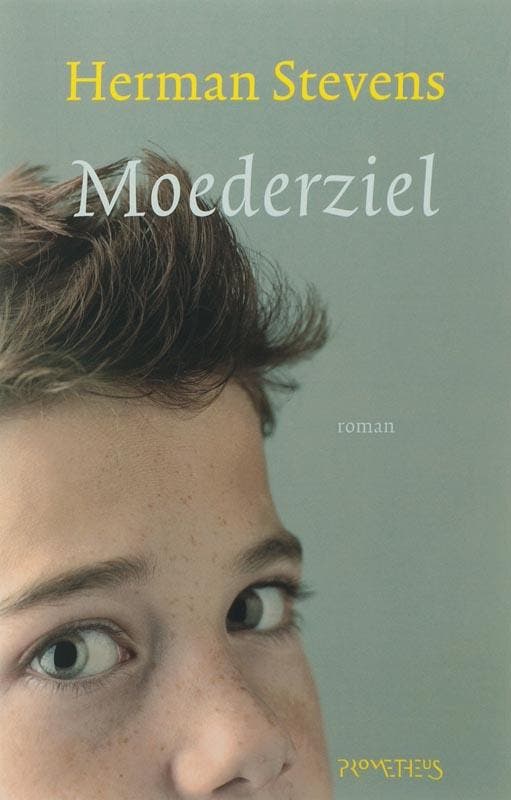 Moederziel 9789044608601 Hans Stevens, Livres, Romans, Envoi