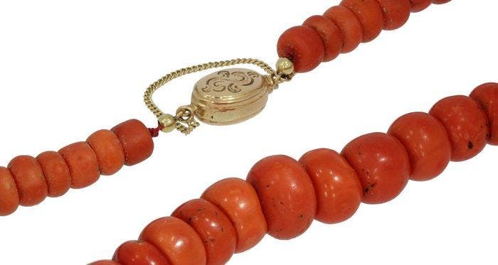 Ketting - 14 karaat Geel goud Bloedkoraal - Grote kaas kraal, Bijoux, Sacs & Beauté, Bijoux anciens