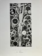 Alexander Neumeister - Er fiel unter die Schriftgelehrten