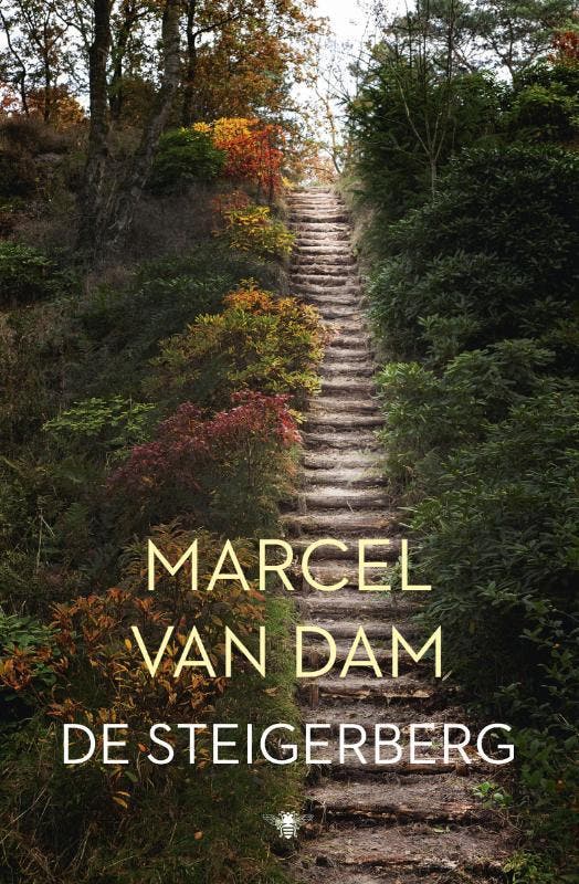 De steigerberg 9789023476597 Marcel van Dam, Livres, Littérature, Envoi