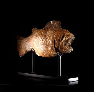 Oude Egypte, Faience Grote container in de vorm van tilapia.