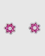 Oorstekers - 14 karaat Witgoud - 3.38ct. tw. Robijn -