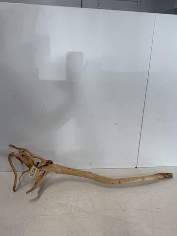 Boutique Stump Selected BS275 - 86x23x20cm (Natuurlijk hout), Ophalen of Verzenden, Plant(en), Steen of Hout