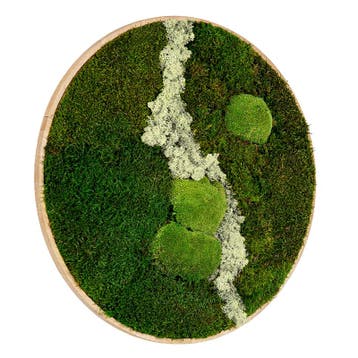 Mosschilderij Rond 100 cm Ongelakt Eiken - Uppsala Latte, Verzenden, Nieuw