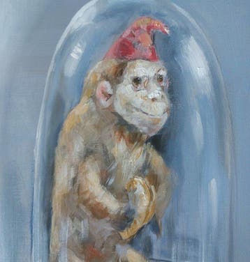 Dorien Plaat - My favorites.....