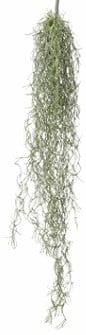 Tillandsia Hangplant Groen 75 cm, Nieuw