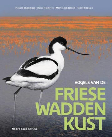 Vogels Van De Friese Waddenkust | Nieuw, Verzenden, Meinte Engelmoer; Henk Hiemstra; Meino Zondervan; Taeke Roosjen