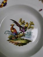 Meissen antica piatto fondo (23cm)rappresentazioni di