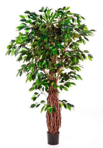 Kunstplant Ficus Liana Deluxe 270 cm, Huis en Inrichting, Kamerplanten, Verzenden