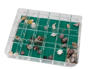 Hele zee-werelden in miniatuurformaat: veelzijdige, Nieuw