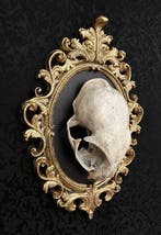 WT Horror Art - WT Horror Art - Sculpture, Gothic Skull Cat