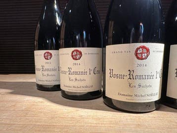 2014 Domaine Michel Noellat Vosne-Romanée 1er Cru Les
