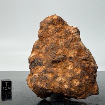 SERICHO meteoriet palasiet gepolijst EIND VAN DE COUPE -, Verzamelen, Mineralen en Fossielen