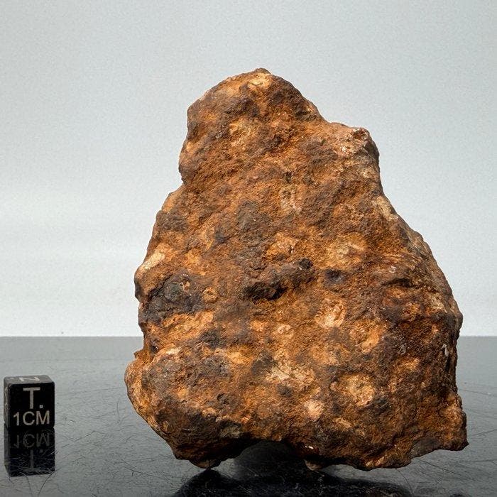 SERICHO meteoriet palasiet gepolijst EIND VAN DE COUPE -, Verzamelen, Mineralen en Fossielen