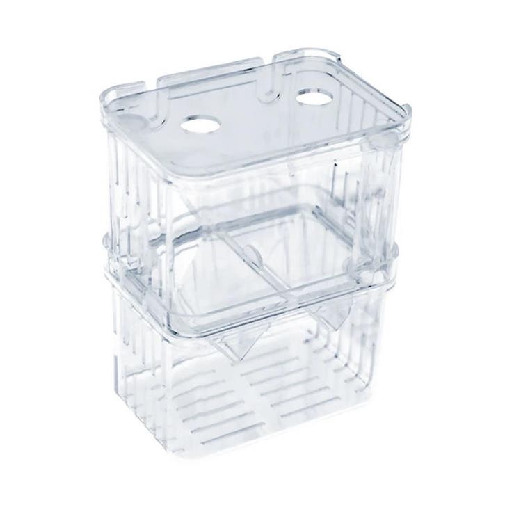 Vissen Kweekbakje - Kraam Quarantaine Baby Visjes - Guppy's, Collections, Collections Autre, Envoi