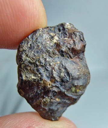 Tin Begane 001 Pallasietmeteoriet - 3.66 g, Collections