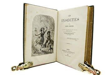 Louis Figuier / Mesnel, Blanchard, Delahaye & Bayard - La, Antiek en Kunst