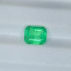 Zonder minimumprijs Smaragd - 2.48 ct - International, Nieuw