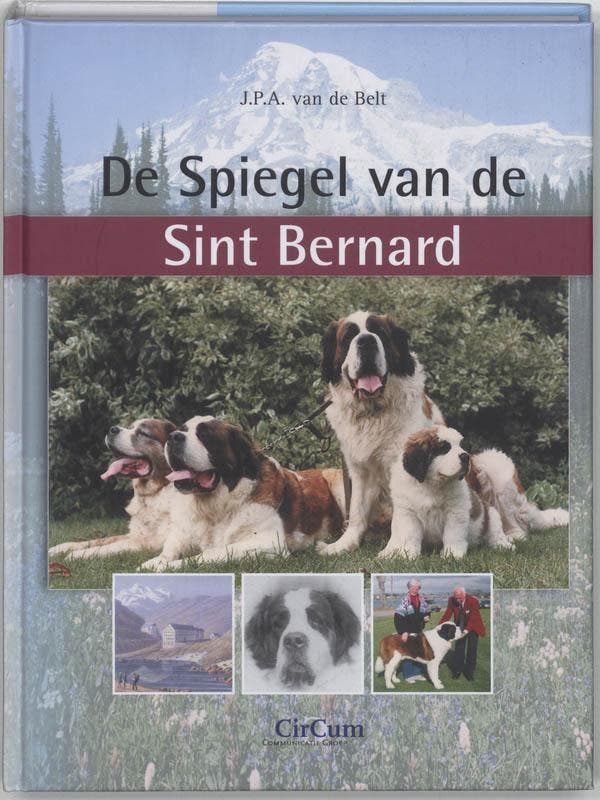De spiegel van de Sint Bernard 9789077002063, Boeken, Hobby en Vrije tijd, Zo goed als nieuw, Verzenden