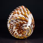 Grote Gepolijste Koperen Midas Abalone Zeeschelp - Haliotis, Nieuw