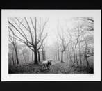 Frank Machalowski - tierwald#166