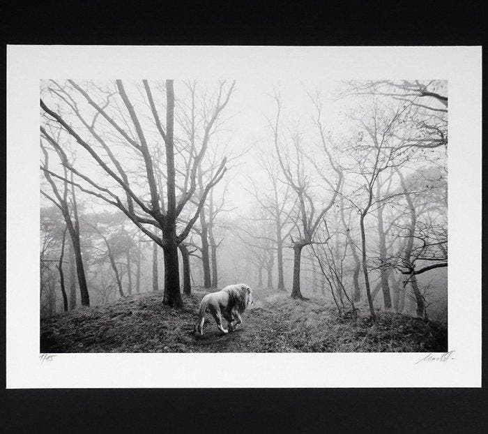 Frank Machalowski - tierwald#166, Antiek en Kunst, Kunst | Designobjecten