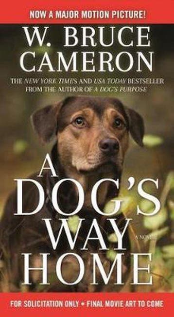 A Dogs Way Home Movie Tie-In 9781250301901 W. Bruce Cameron, Verzenden, W. Bruce Cameron
