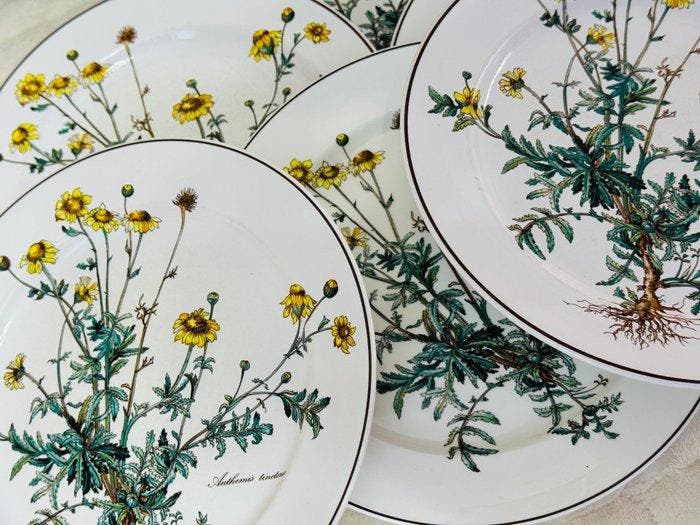 Villeroy & Boch - Bord (6) - Botanica - Porselein - Speciale, Antiquités & Art, Antiquités | Meubles | Tables