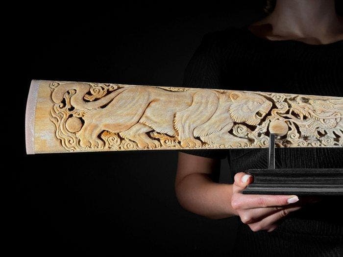 GEEN MINIMUMPRIJS - Extra groot patineerde zwaardvissentand, Antiek en Kunst, Kunst | Designobjecten