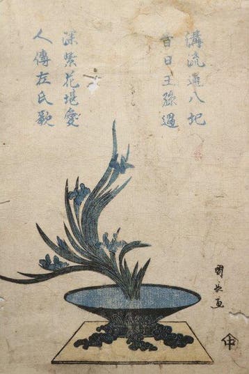 Set of 7 Beautiful Ikebana Flower Arrangement Woodblock