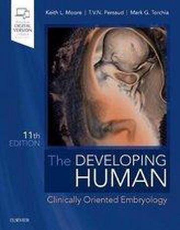 The Developing Human 9780323611541 Keith L. Moore, Boeken, Verzenden, Zo goed als nieuw, Keith L. Moore