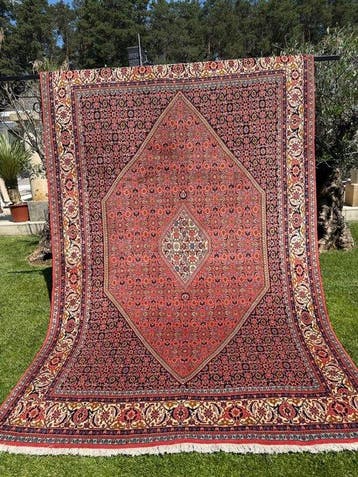 Meilleur tapis Indo-Bidjar - Tapis - 300 cm - 200 cm