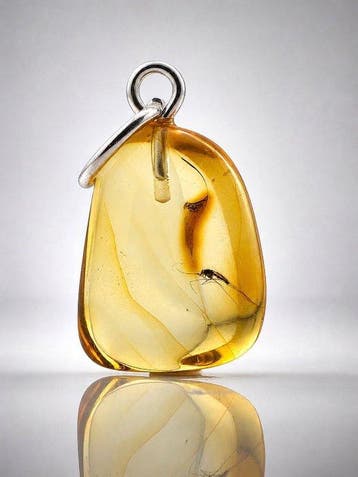Pendentif en ambre balte véritable – Fossile de moustique