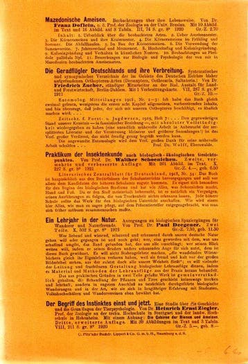 Karl von Frisch - Entdeckung der Sprache der Bienen