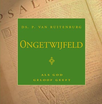 Ongetwijfeld 9789033123368 P. van Ruitenburg, Boeken, Verzenden, Gelezen, P. van Ruitenburg