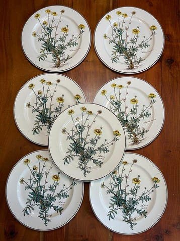 Villeroy & Boch - Service de table pour le dîner -, Antiquités & Art