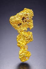 Gekristalliseerd goudklompje De Grootkop- 1.31 g - (1)