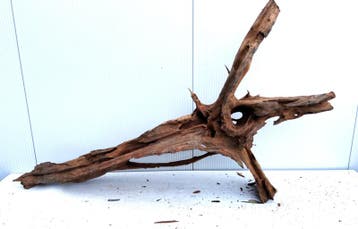 Osaka XL207 uniek aquarium decoratie hout  180x100x40cm, Ophalen of Verzenden, Plant(en), Steen of Hout