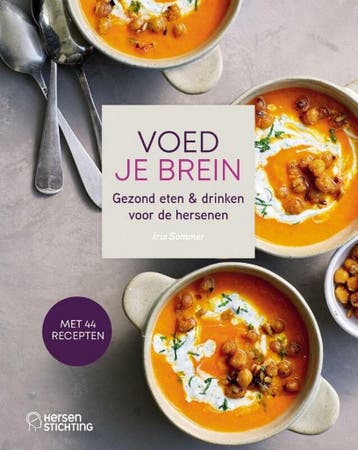 Voed je brein 9789090362526 Iris Sommer, Verzenden, Iris Sommer
