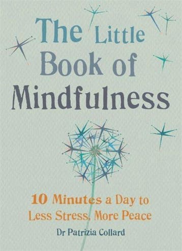 Little Book Of Mindfulness 9781856753531 Dr Patrizia Collard, Verzenden, Dr Patrizia Collard