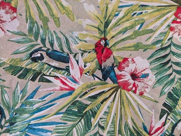 San Leucio-esclusiva tessuto tropici con pappagalli( 2), Antiek en Kunst