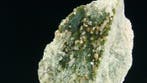 Grossular hessoniet (edelsteen) met clinochlore -