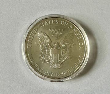 Verenigde Staten. 1 Dollar 2004, Silver Eagle, 1 oz (Zonder