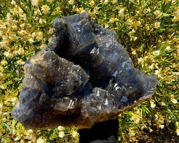 Unieke grote fluoriet Kristal op matrix - Hoogte: 17 cm -
